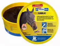 Derby Horslyx Leckmasse Garlic