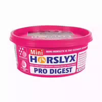 Derby Horslyx Leckmasse Pro Digest