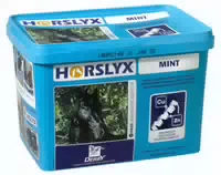 Derby Horslyx Mint