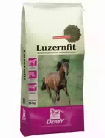 Derby Luzernfit Pell