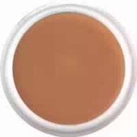 Dermacolor Camouflage Creme D19 30g 30 G Creme