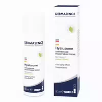 Dermasence Hyalusome Aktiv Fruchtsäure Creme