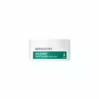 Dermatory Salicinic Pore Trouble Melting Pad 30ea