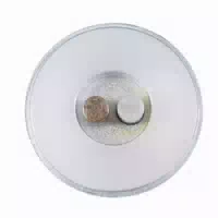 Detia Phero Control Refill Für Käferfalle