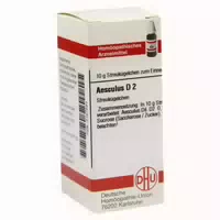 Aesculus D 2 Globuli 10 G Globuli