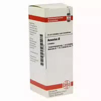 Aesculus Urtinktur 20 ml Dilution