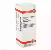 Angelica Archangelica Urtinktur D 1 20 ml Dilution