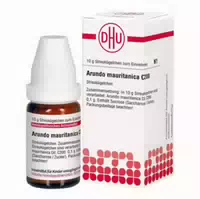 Arundo Mauritanica C 200 Globuli