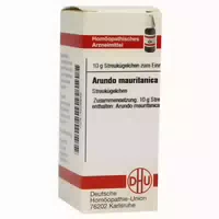 Arundo Mauritanica D 6 Globuli 10 G Globuli