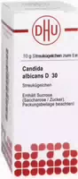 Dhu Arsenum Jodatum D30 Globuli