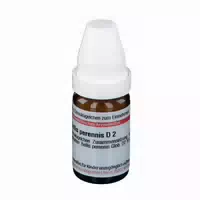 Bellis Perennis D 2 Globuli 10 g Globuli