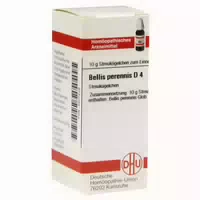 Bellis Perennis D 4 Globuli 10 G Globuli