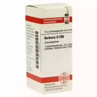 Berberis D 200 Globuli 10 G