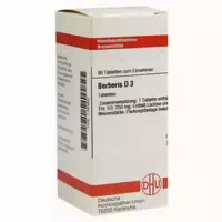 Berberis D 3 Tabletten 80 St Tabletten