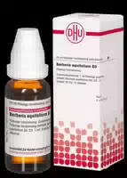 Berberis Aquifolium D 3 Dilution 20 ml Dilution