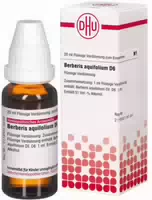Berberis Aquifolium D 6 Dilution 20 ml Dilution