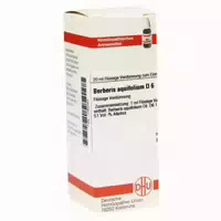 Berberis Aquifolium D 6 Dilution 20 Ml Dilution