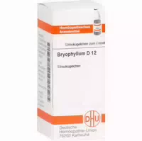Bryophyllum D 12 Globuli 10 G Globuli