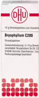 Dhu Bryophyllum C200 Globuli 10 g