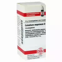 Caladium Seguinum D 6 Globuli 10 G