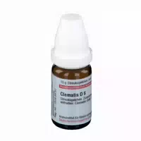 Calendula D 6 Globuli 10 g Globuli