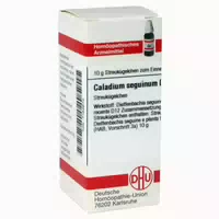 Caladium Seguinum D 12 Globuli 10 G Globuli