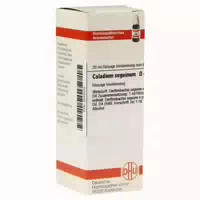 Caladium Seguinum D 4 Dilution 20 Ml