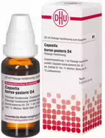 Capsella Bursa Pastoris D 4 Dilution 20 ml
