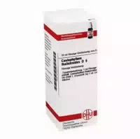 Caulophyllum Thalictroides D 6 Dilution 20 Ml Dilution