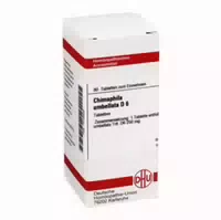 Chimaphila Umbellata D 6 Tabletten 80 St Tabletten