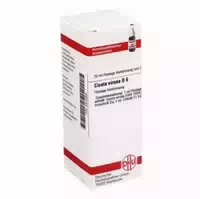 Cicuta Virosa D 6 Dilution 20 Ml