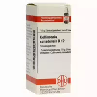 Collinsonia Canadensis D 12 Globuli 10 G Globuli