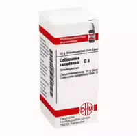 Collinsonia Canadensis D 6 Globuli 10 G Globuli