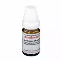 Collinsonia Canadensis D 6 Globuli 10 g Globuli