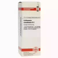 Collinsonia Canadensis Urtinktur 20 Ml Dilution