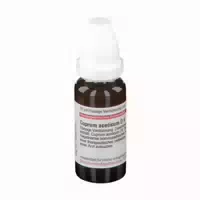 Dhu Justicia Adhatoda D6 Dilution 20 ml