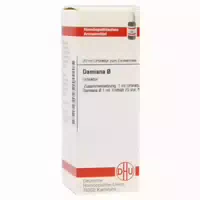 Damiana Urtinktur D 1 20 Ml Dilution