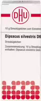 Dhu Dipsacus Silvestris D6 Globuli 10 g