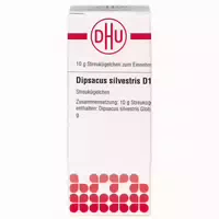 Dhu Dipsacus Silvestris D12 Globuli 10 g