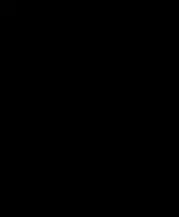 10 g