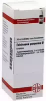 Dhu Echinacea Purpurea Urtinktur 20 ml Dilution