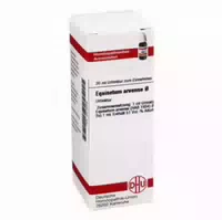 Equisetum Arvense Urtinktur 20 Ml Dilution
