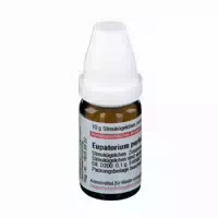Eupatorium Perfoliatum D 200 Globuli 10 G Globuli