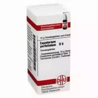 Eupatorium Perfoliatum D 6 Globuli 10 G Globuli