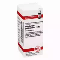 Eupatorium Perfoliatum C 12 Globuli 10 G Globuli