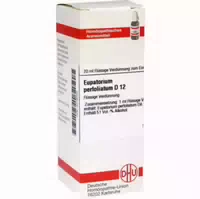 Eupatorium Perfoliatum D 12 Dilution 20 Ml
