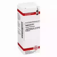 Euphrasia D 4 Dilution 20 Ml Dilution