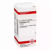Fagopyrum D 6 Tabletten 80 St Tabletten