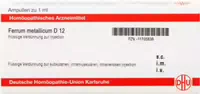 Zincum Metallicum D 12 Ampullen 8x1 ml
