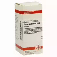 Fucus Vesiculosus D 12 80 St Tabletten